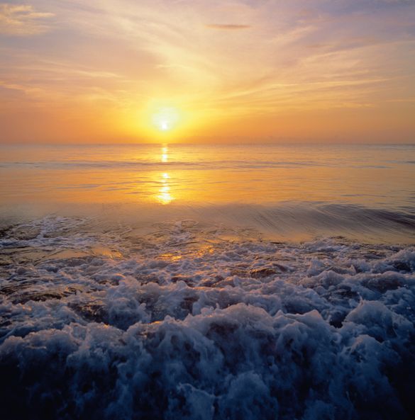 Florida Sunrise