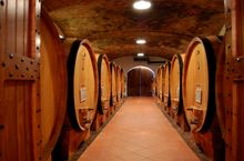 Wine Barrels