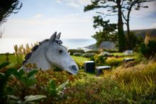 Talland Bay Hotel garden view
