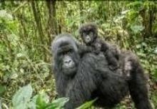 Rwanda