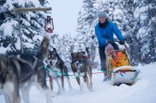 Dog-sledding in the Yukon