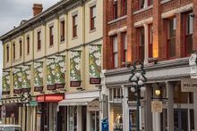 Image: Colourful heritage buildings line LoJo in the heart of Victoria's downtown shopping district.