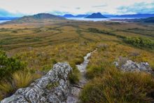 Lake Pedder - Wild Pedder