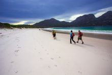 Freycinet Experience Walk