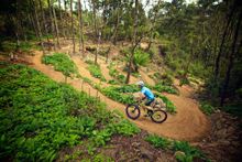 Blue Derby Mountain Bike Trails