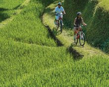 Cycling Adventure