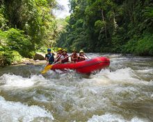 Whitewater Rafting