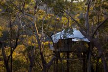 Lovecabins.com.au_Treehouse