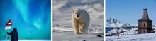 From left: Northern Lights, Svalbard; polar bear, Svalbard; Barentsburg