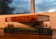 Sett Cottage - curl up with a book