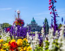 Springtime in Victoria, B.C.
