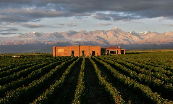 Pair wine and wildlife with International Expeditions