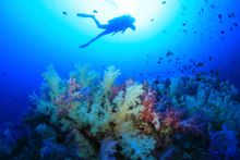 Mu Ko Similan is home to some of the world's best scuba diving sites