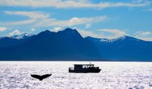 Returning to the region after two decades, Windstar will offer a new Alaska vacation choice enhancing small ship cruising options for experienced travelers.