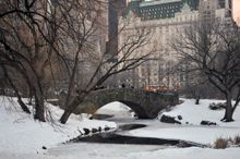Central Park