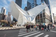 Oculus 
