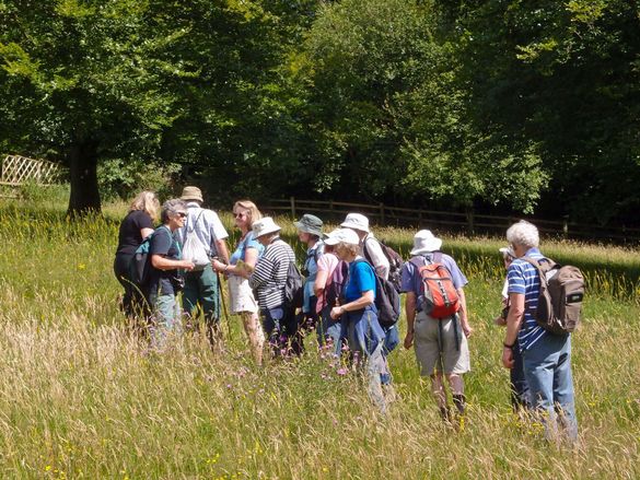 Walkers at Newham Hill Common