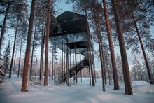 New 7th room at the Treehotel