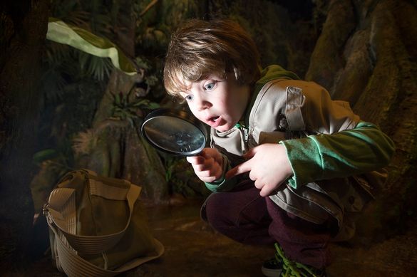 Finn Chomczuk explores the rainforest at Dynamic Earth