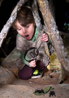 Finn Chomczuk explores the rainforest at Dynamic Earth