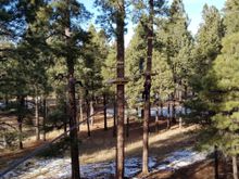 Soaring through the Ponderosa pines on the new Flagstaff Extreme Adventure Zip Line course in Flagstaff, Arizona.