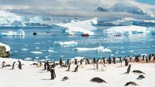 Explore Antarctica with Expedition Cruise Specialists