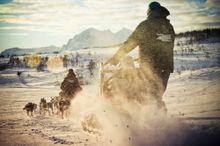 Dog sled in Norway