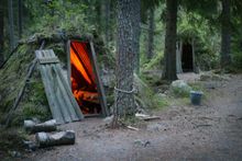 Wildlife track in Swedish Wilderness