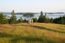 At the end of the day, guests can stretch their legs with a hike on a deserted island.