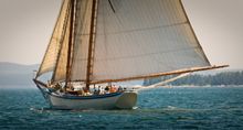 Schooner American Eagle crosses Penobscot Bay.