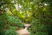 Plover Cove Country Park