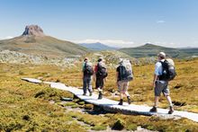 Tasmanian Walking Company - GOLD Ecotourism