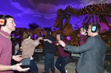 Dinos and disco
