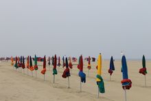 Parasols in Deauville