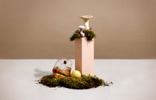 Botanist 