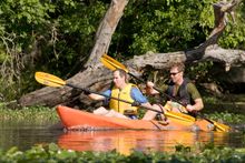 The Hillsborough River offers paddlers a taste of wild Florida within easy reach of the city.