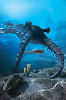 Anomalocaris from David Attenborough's First Life Virtual Reality Experience at the National Museum of Australia