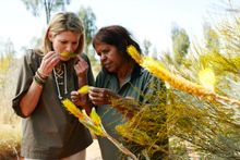 Bush Tucker Yarns at Ayers Rock Resort