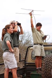 Rhino Tracking at Thanda Safari
