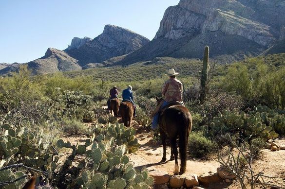 Hilton Tucson El Conquistador Resort horseback riding