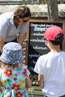 St Michael's Mount Potting Up Activity