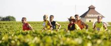 Le Marathon du Médoc