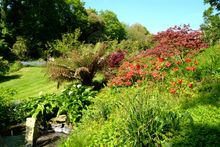 BV Spring Gardens