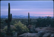Scottsdale at Twilight - Photo courtesy Scottsdale Convention & Visitors Bureau