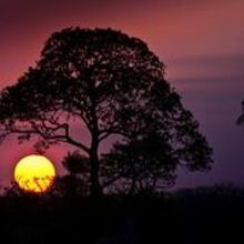 Por Do Sol - Sunset