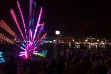 Peacock by Tim Scofield and Kyle Miller