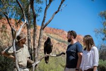 Alice Springs Desert Park