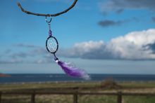 Dreamcatcher 