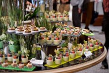 IMM Germany 2017