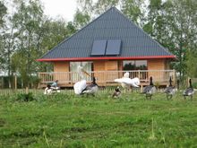 Cerza Safari Lodge